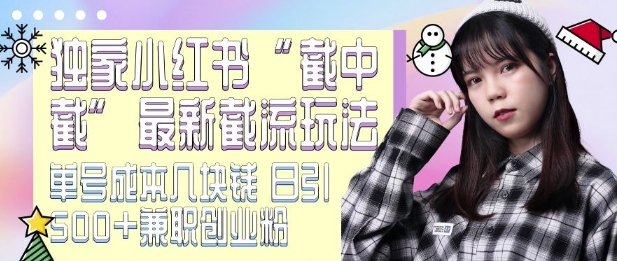 最新小红书截流玩法 独家截中截 单号成本几块钱 日引500+CY粉JZ粉-艾客创业网