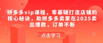 拼多多vip课程，零基础打造店铺的核心秘诀，助拼多多卖家在2025卖出爆款，订单不断-艾客创业网