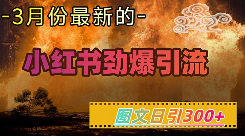小红书超劲爆引流手段，图文日引300+轻松变现1W-艾客创业网