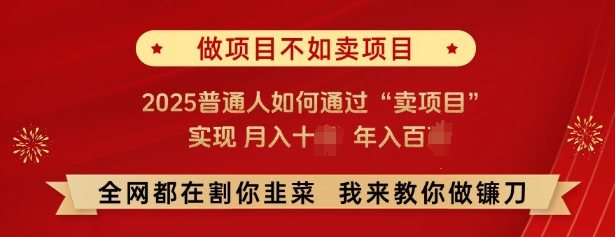 必看，做项目不如卖项目，2025普通人如何通过“卖项目”实现月入十个，年入百个-艾客创业网