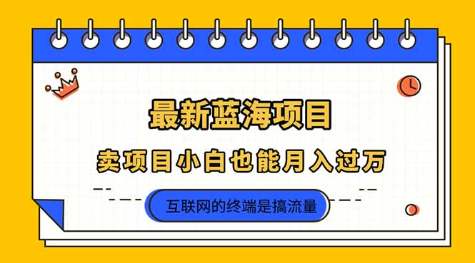 2025年最新蓝海项目，卖项目小白也能月入过万-艾客创业网