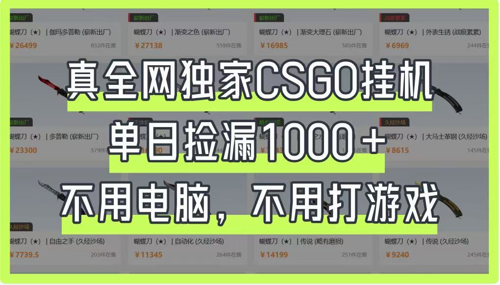 真全网独家CSGO挂机，单日捡漏1000+，不用电脑，不用养号-艾客创业网