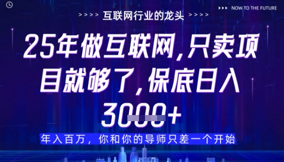 什么！25年你还在找项目做？风口早就变了，卖项目才是稳挣不赔【揭秘】-艾客创业网