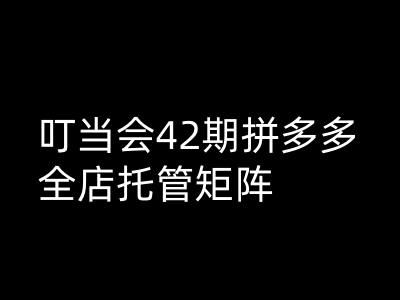 叮当会拼多多打爆班原创高阶技术第42期，拼多多全店托管矩阵-艾客创业网
