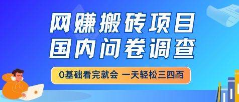 网创搬砖项目，国内问卷调查，小白轻松上手，一天三四张的也不难，干就完了【揭秘】-艾客创业网