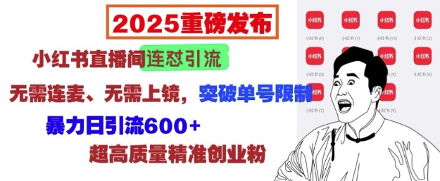 2025重磅发布：小红书直播间连怼引流，无需连麦、无需上镜，突破单号限制，暴力日引流600+-艾客创业网