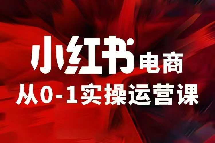 小红书电商运营，97节小红书vip内部课，带你实现小红书赚钱-艾客创业网