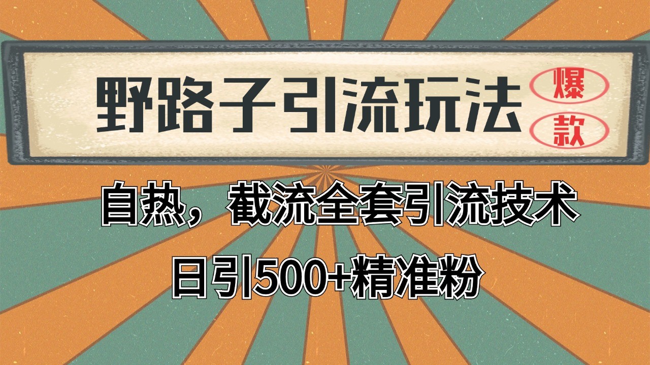 抖音小红书视频号全平台引流打法，全自动引流日引2000+精准客户-艾客创业网