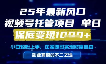 25年最新风口，视频号托管项目，单日保底变现1k+，手把手教学【揭秘】-艾客创业网