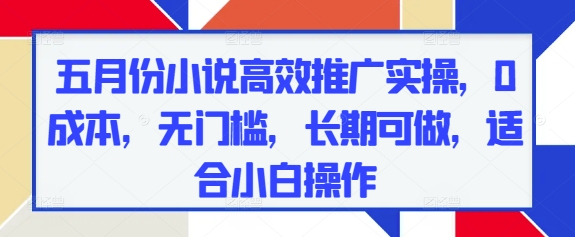 五月份小说高效推广实操，0成本，无门槛，长期可做，适合小白操作-艾客创业网