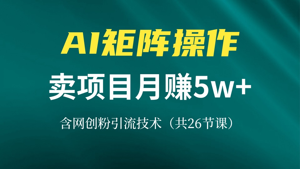 网创IP打造课，借助AI卖项目月赚5万+，含引流技术(共26节课-艾客创业网