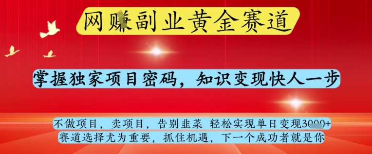 网创副业黄全赛道，掌握独家项目密码，知识变现快人一步，告别韭菜轻松实现单日变现1k+【揭秘】-艾客创业网