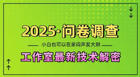 2025问卷调查最新工作室技术解密：一个人在家也可以闷声发大财，小白一天2张，可矩阵放大【揭秘】-艾客创业网