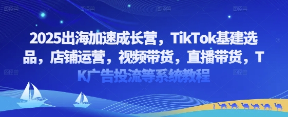 2025出海加速成长营，TikTok基建选品，店铺运营，视频带货，直播带货，TK广告投流等系统教程-艾客创业网