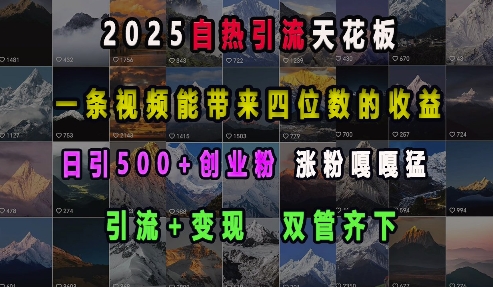 2025自热引流天花板，一条视频能带来四位数的收益，引流+变现双管齐下，日引500+创业粉，涨粉嘎嘎猛-艾客创业网