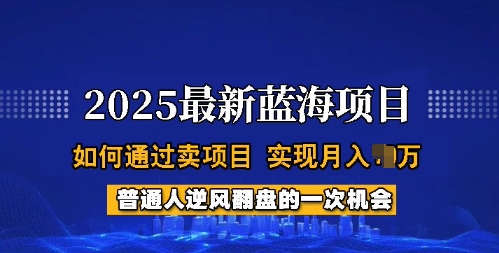 2025蓝海项目，普通人如何通过卖项目，实现月入过W，全过程【揭秘】-艾客创业网