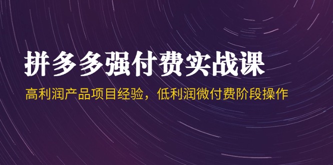 拼多多强付费实战课-44期，高利润产品项目经验，低利润微付费阶段操作-艾客创业网