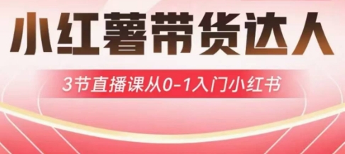小红薯达人带货启航计划，3节直播课从0-1入门小红书-艾客创业网