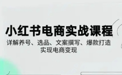 小红书从0-1实操课(2023-2025)，详解养号、选品、文案撰写、爆款打造实现电商变现-艾客创业网