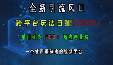 全新引流风口，跨平台玩法日入上k，单日狂揽200+精准创业粉，一个被严重忽略的视频平台-艾客创业网