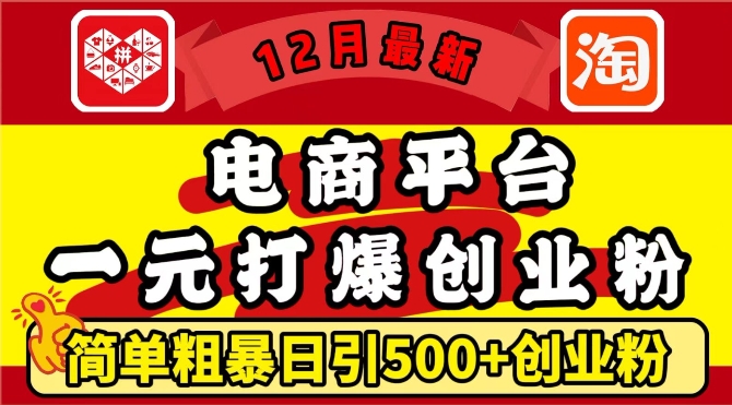 12月最新：电商平台1元打爆创业粉，简单粗暴日引500+精准创业粉，轻松月入过W【揭秘】-艾客创业网