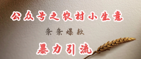 deepseek写农村小项目，条条爆款，暴力引流-艾客创业网