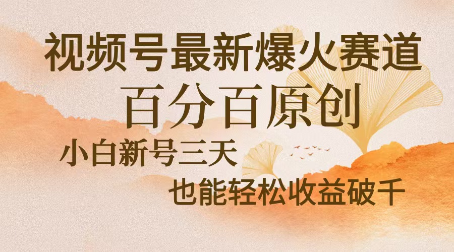 视频号最新爆火赛道，中老年粉深信不疑，百分百原创，新号三天收益轻松…-艾客创业网