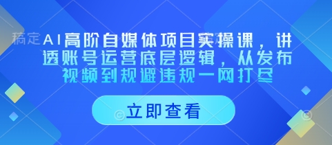 AI高阶自媒体项目实操课，讲透账号运营底层逻辑，从发布视频到规避违规一网打尽-艾客创业网