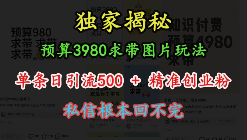 预算3980求带 图片玩法，单条日引流500+精准创业粉，私信根本回不完-艾客创业网