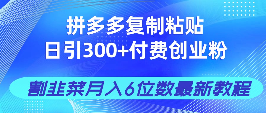 拼多多复制粘贴日引300+付费创业粉，割韭菜月入6位数最新教程！-艾客创业网