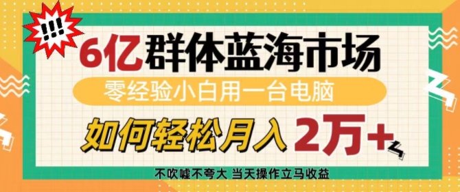 6亿群体蓝海市场，零经验小白用一台电脑，如何轻松月入过w【揭秘】-艾客创业网