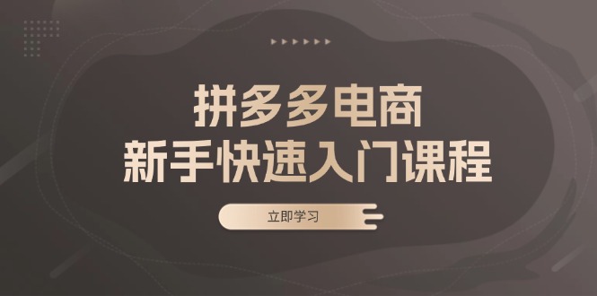 拼多多电商新手快速入门课程：涵盖基础、实战与选款，助力小白轻松上手-艾客创业网