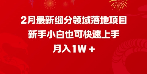 2月最新细分领域落地项目，新手小白也可快速上手，月入1W-艾客创业网