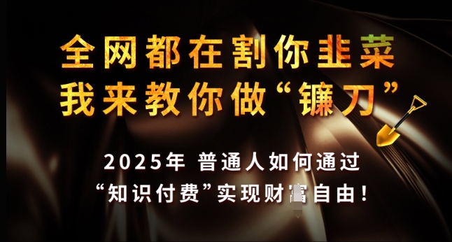 全网都在割你韭菜，我来教你做镰刀，2025年普通人如何通过 知识付费 实现财F自由【揭秘】-艾客创业网