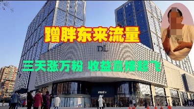 蹭胖东来流量，三天涨万粉，收益直接起飞-艾客创业网
