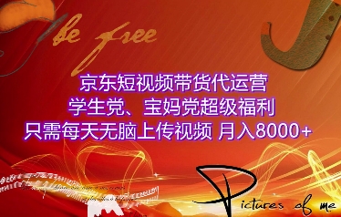 京东短视频带货代运营，学生党、宝妈党超级福利，只需每天无脑上传视频，月入8000+【仅揭秘】-艾客创业网