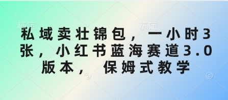 私域卖壮锦包，一小时3张，小红书蓝海赛道3.0版本， 保姆式教学-艾客创业网