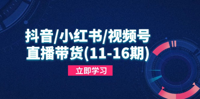 抖音/小红书/视频号/直播带货(11-16期-艾客创业网