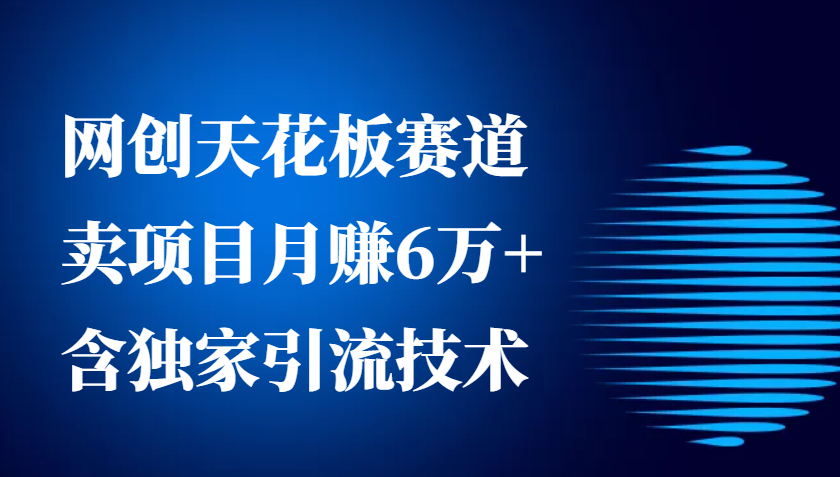 网创天花板赛道，卖项目月赚6万+，含独家引流技术(共26节课)-艾客创业网