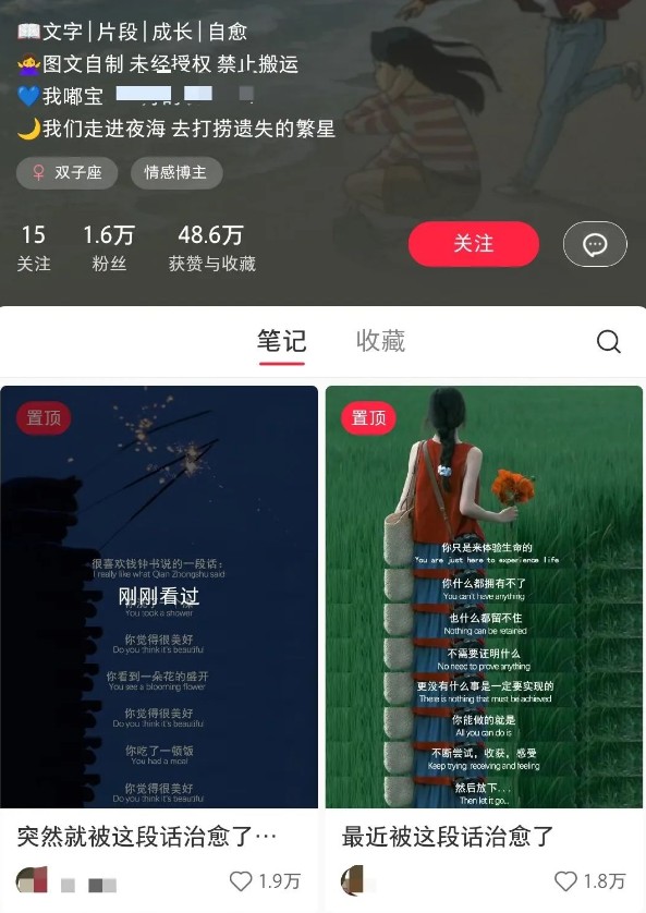小红书治愈文案图文笔记，零门槛，一分钟制作轻松制作爆款作品月入万元-艾客创业网