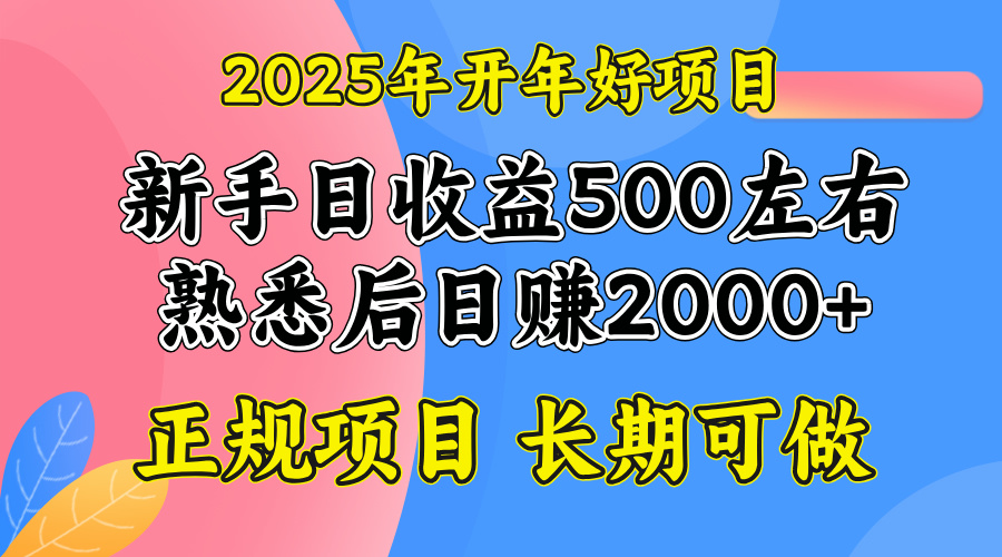 2025开年好项目，单号日收益2000左右-艾客创业网
