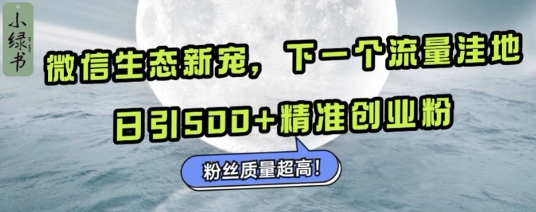 微信生态新宠小绿书：下一个流量洼地，日引500+精准创业粉，粉丝质量超高-艾客创业网