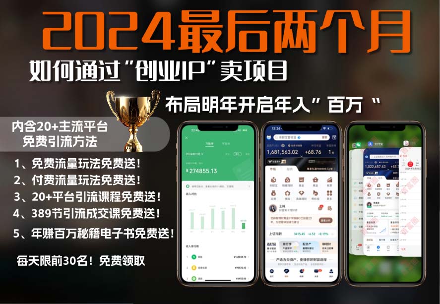 2024最后两个月如何通过”创业IP“卖项目年入”百万“,创业IP+最强引流…-艾客创业网