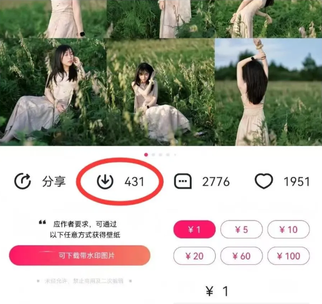 最新图虫搬运项目，收益无上限，利用AI小白也可日赚500+-艾客创业网