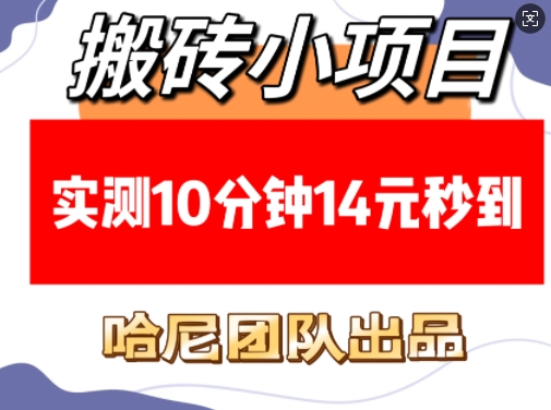 搬砖小项目，实测10分钟14元秒到，每天稳定几张(赠送必看稳定)-艾客创业网