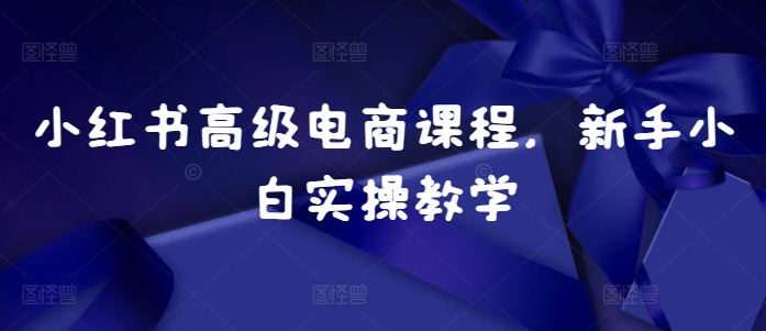 小红书高级电商课程，新手小白实操教学-艾客创业网
