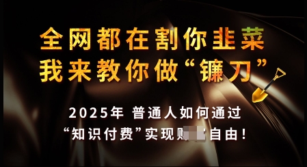 知识付费如何做到月入过W+，2025我来教你做“镰刀”【揭秘】-艾客创业网