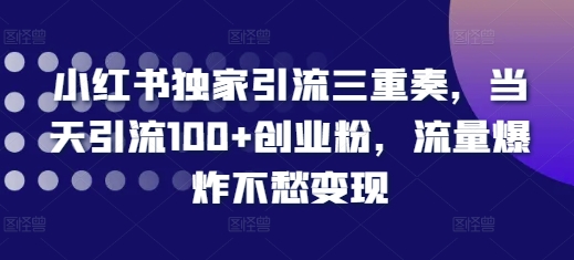 小红书独家引流三重奏，当天引流100+创业粉，流量爆炸不愁变现【揭秘】-艾客创业网