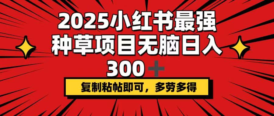2025小红书最强种草项目，无脑日入300+，复制粘帖即可，多劳多得-艾客创业网