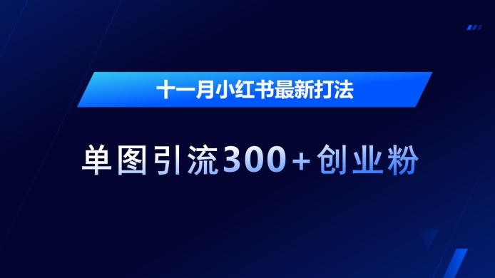 十一月小红书最新打法，单图引流300+创业粉【揭秘】-艾客创业网